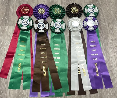 Lot pretty horse show - horse,